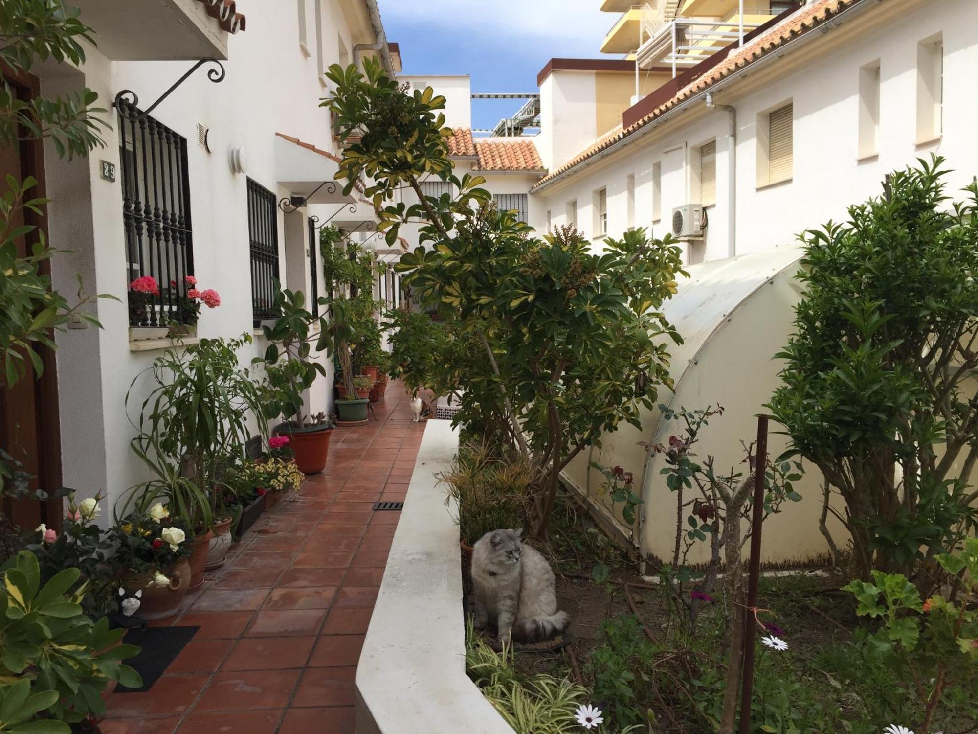 El Cortijuelo. Magnificent Triplex Terraced House With Rooftop Of 18M2, Overlooking The Sea. Parking توريمولينوس المظهر الخارجي الصورة